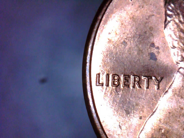 1983-Lincoln-Cent-Streaks-On-Liberty