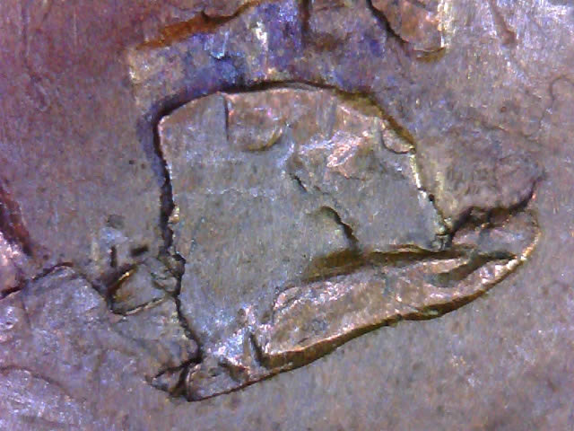 1974-D--LC---A-Rather-Stange-Lamination-?