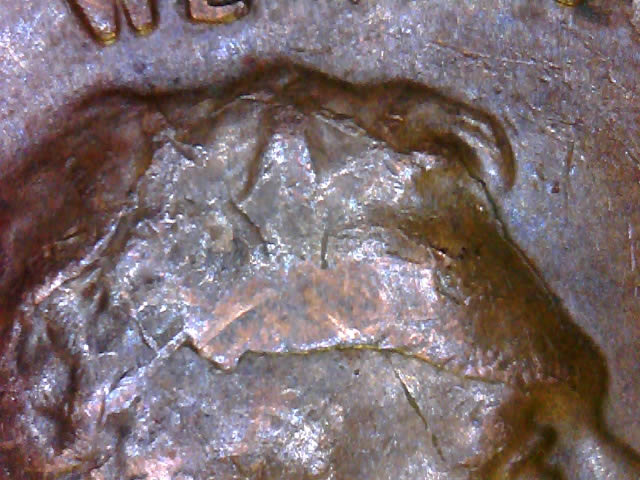 1955-And-1955-D--Lc--RIDB