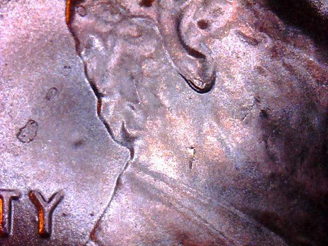 2018-P-Sc-Unusual-Looking-Ear