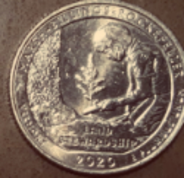 2020-W-Quarter-With-A-Mark-I-Don't-Notice-On-Other--Quarters