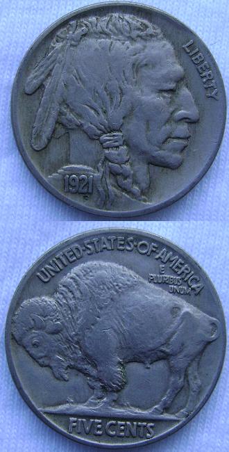 Couple-Of-Buffalo-For-Grading
