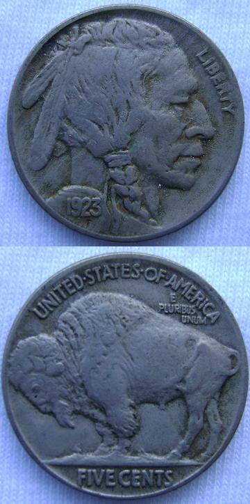Couple-Of-Buffalo-For-Grading