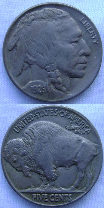 Couple-Of-Buffalo-For-Grading