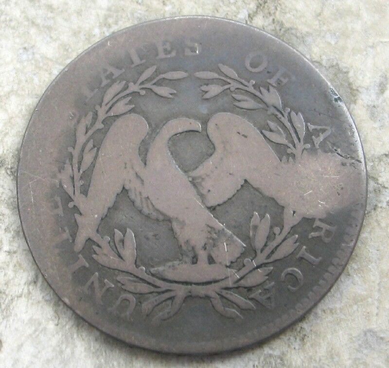 Some-Questions-On-My-Flowing-Hair-Half-Dollar