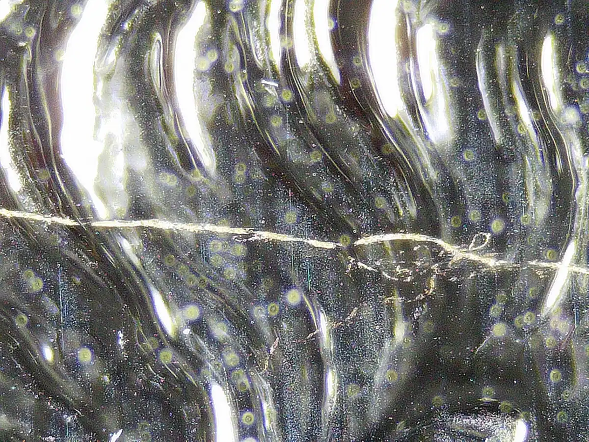 1776-2026-P-Morgan-Dollar-Reverse-Proof---Struck-Through-Multiple-Fibers-&-Weird-White-Area