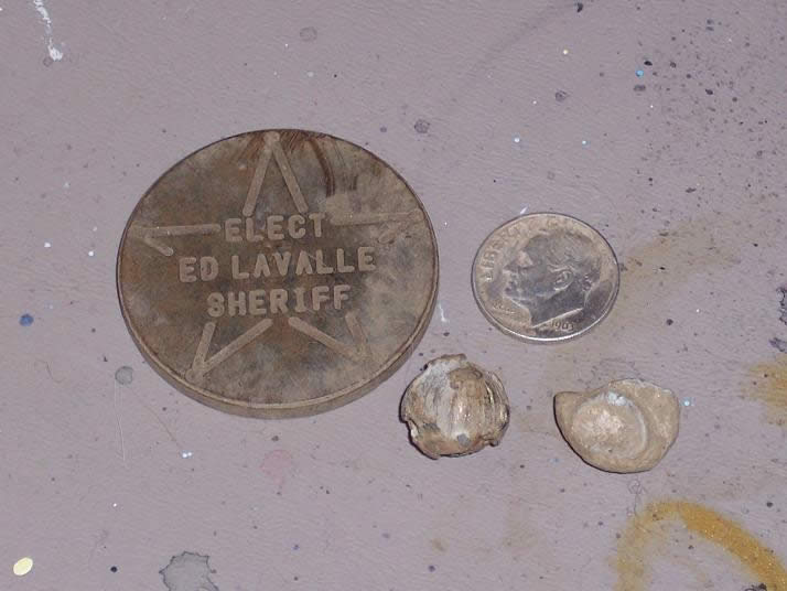 Went-Metal-Detecting-Today.