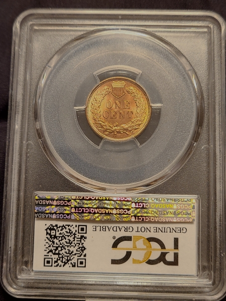 1891-Indian-Cent---Questionable-Color-Y/N
