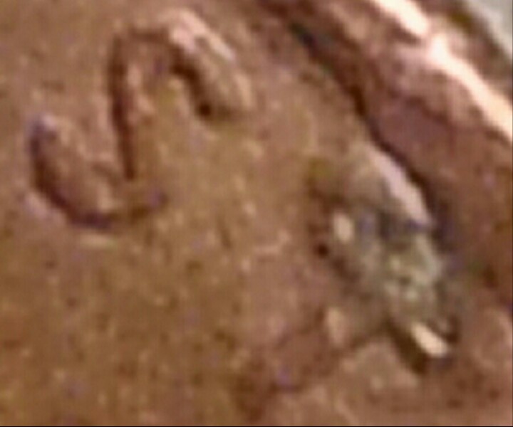 1994-DDO-Cent?-Or-What-Is-It?!