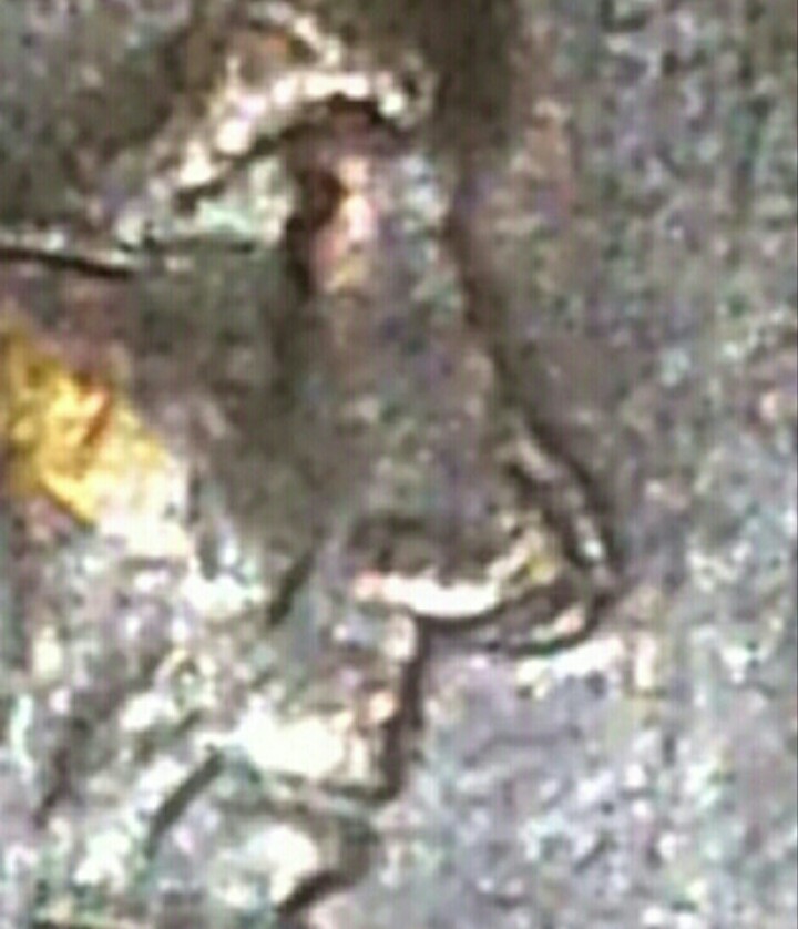 Guys-Is-This-1971-Cent-An-Error?