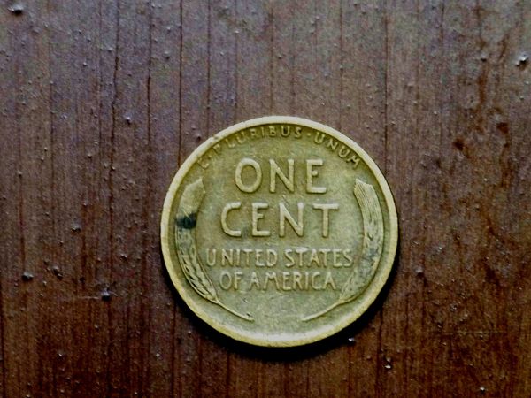Interesting-Find-From-Circulation