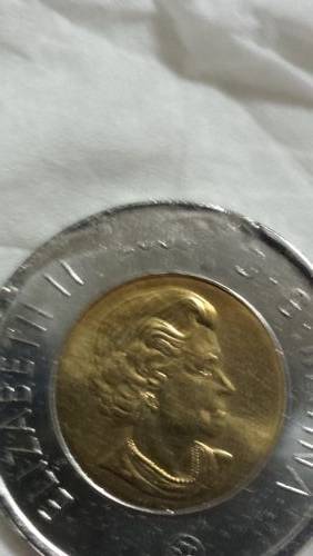 Rare-Toonie