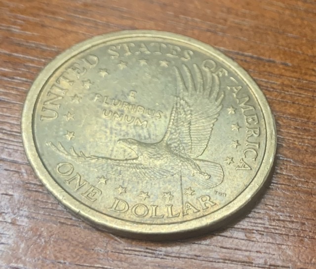 2000-P-Sacajawea-Dollar-Die-Break-Error?