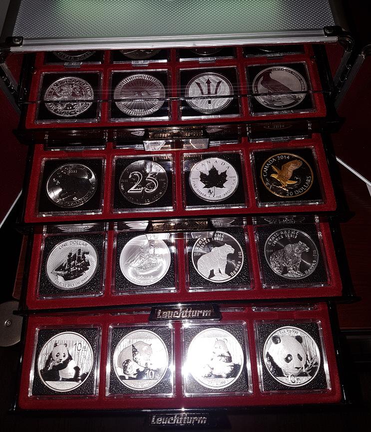 Which-Folders-To-Use-For-Various-World-Bullion?
