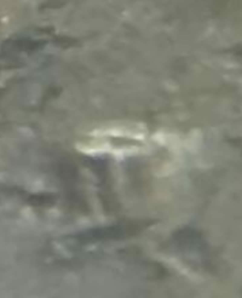 Could-This-Be-A-New-Discovery-1919-D-Triple-RPM?-My-Brother-Showed-Me-This