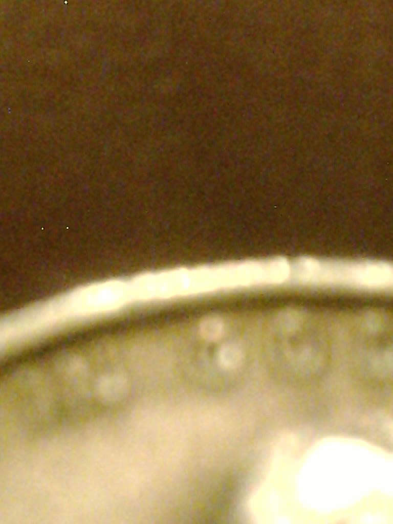 Can-U-Pls-Tell-Me-If-This-Is-An-Actual-DDO-Cent