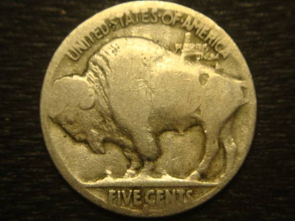 New-And-Need-Help-To-ID-A-Buffalo