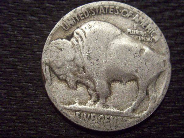 Buffalo-With-Extra-Metal-On-The-Reverse