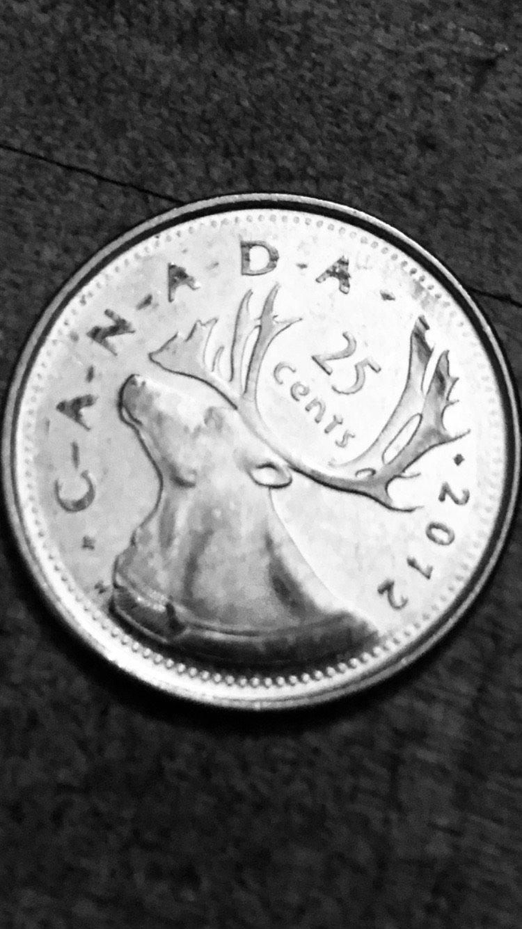 Help-2012-Canadian-Quarter-Possible-Error-With-Dashes-Between-Lettering