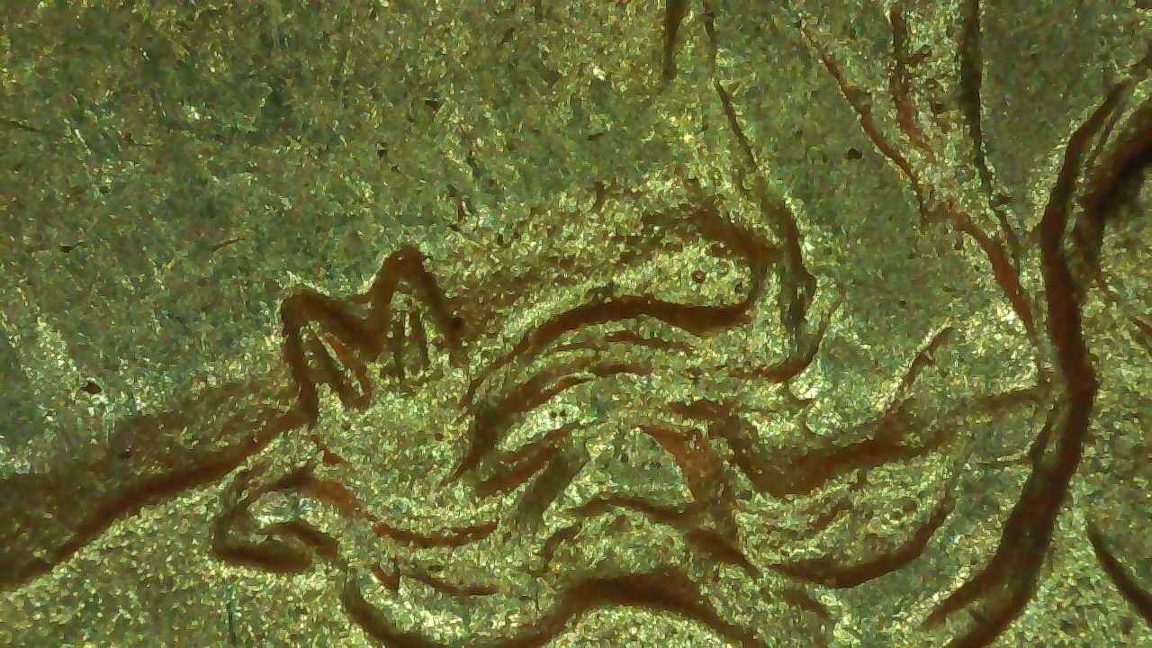 1884-P-VAM-1,-But-Is-It?-OBV-Rusted-Die?