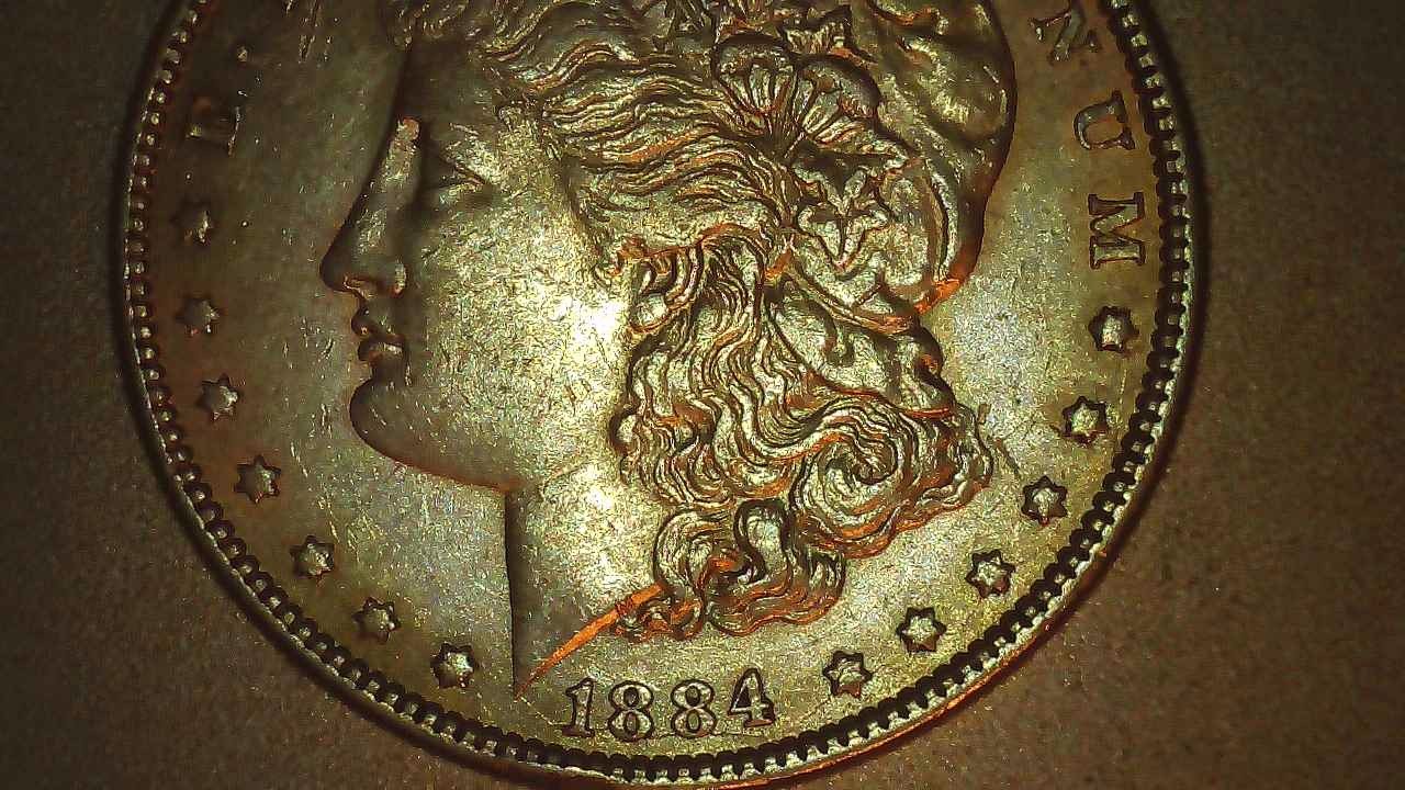 1884-P-VAM-1,-But-Is-It?-OBV-Rusted-Die?