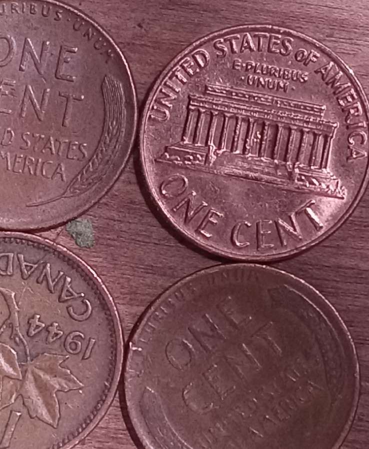 Interesting-Find-From-Circulation