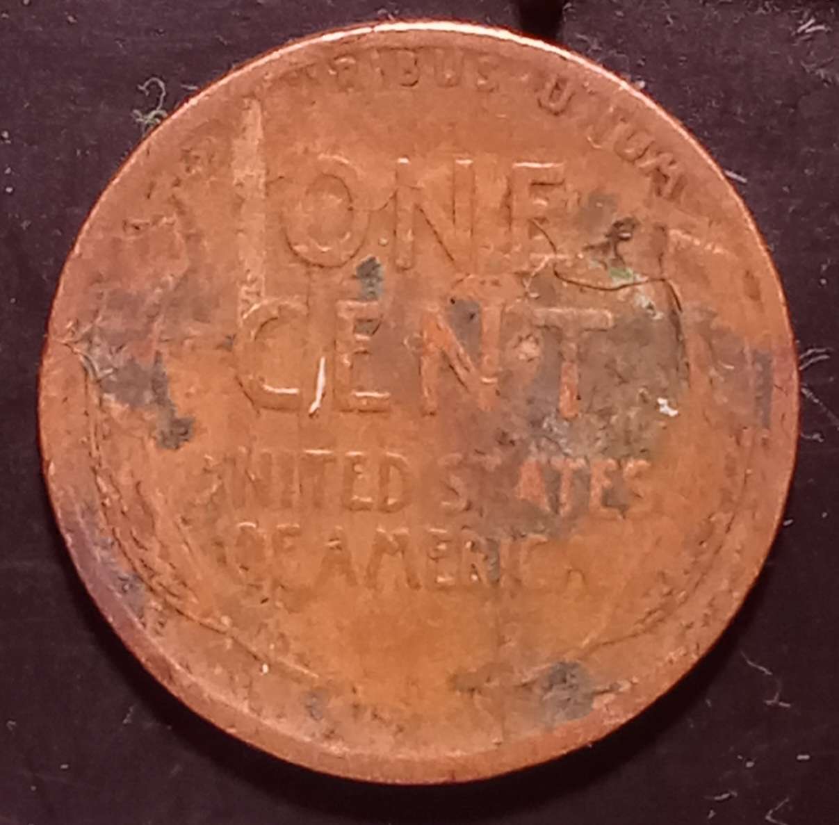 Interesting-Find-From-Circulation