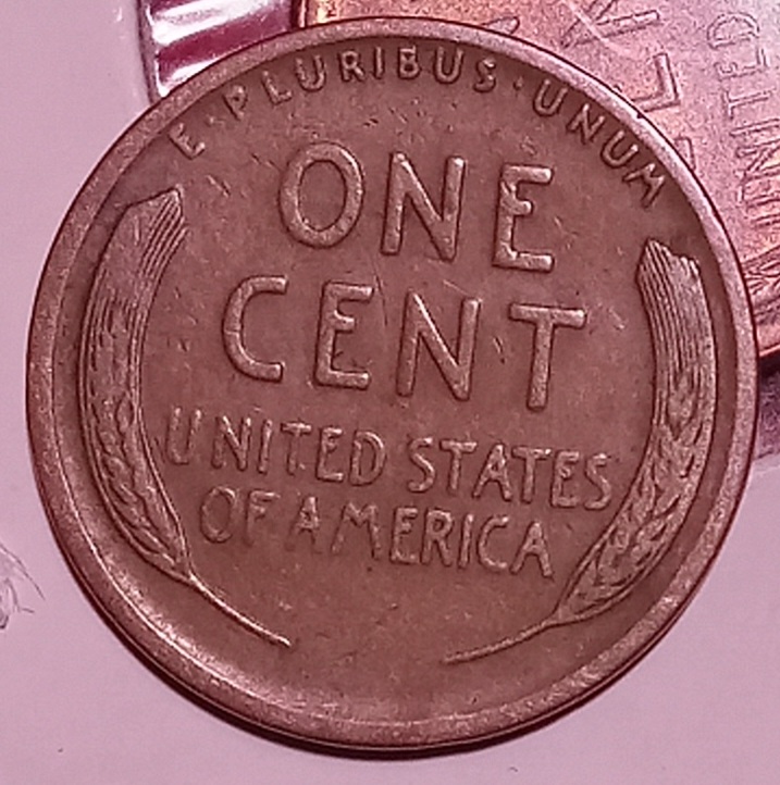 Interesting-Find-From-Circulation