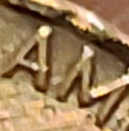 1988-Wide-AM-Raised-Edge-No-Mint-Mark-Penny