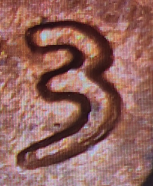1973-D-Lincoln-Cent-RPM-002-With-Doubling-On-
