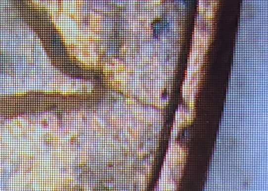 1983-P-Lincoln-Cents-Are-Die-Cracks-This-Common?
