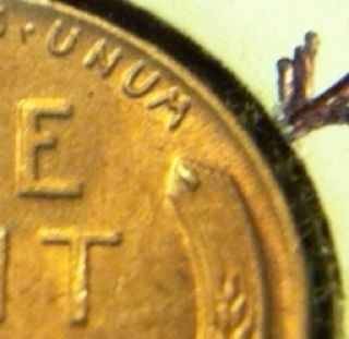 Error-Coin-?