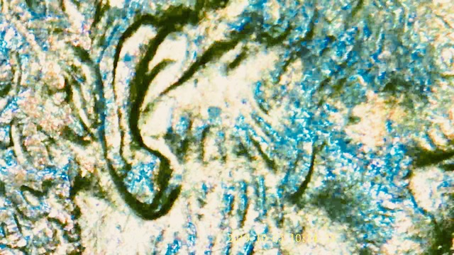 2005-Penny-Multiple-Errors