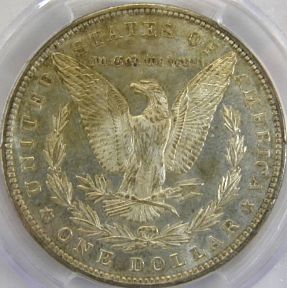 Toned-1885-Morgan...what-Did-It-Grade?