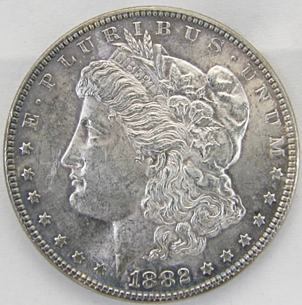 Toned-1882-Morgan-For-Grading