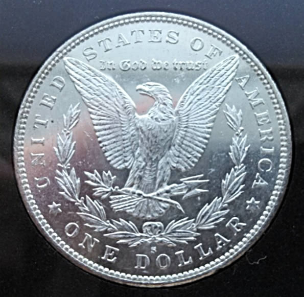 1879-S-DMPL-Morgan-For-Grading