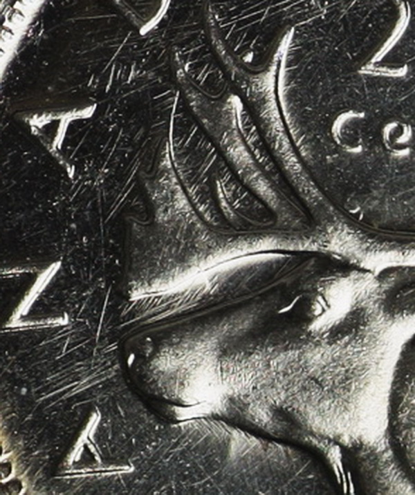 An-Interesting-Quarter.-Would-It-Grade--Or-Not?