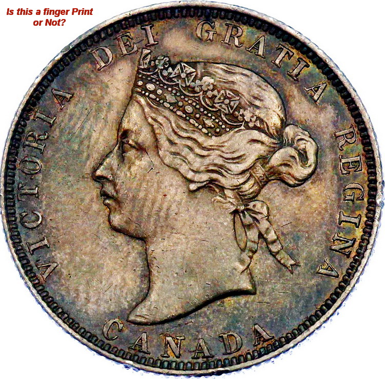 1880-25--Cents-What-Variety-Is-It?-Is-It-A-Fingerprint?