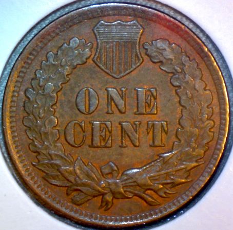1902-Nobody-Wanted...