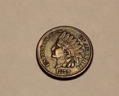 Look-At-This-Beauty,-1877-IHC