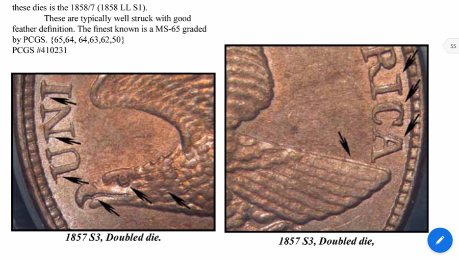 1857-Flying-Eagle-Cent-Doubled-Die---Exaclty-Which-One?