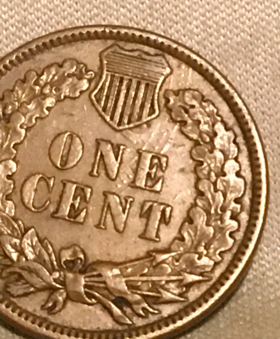 Please-Grade-This-1880-Indian-Head-Cent