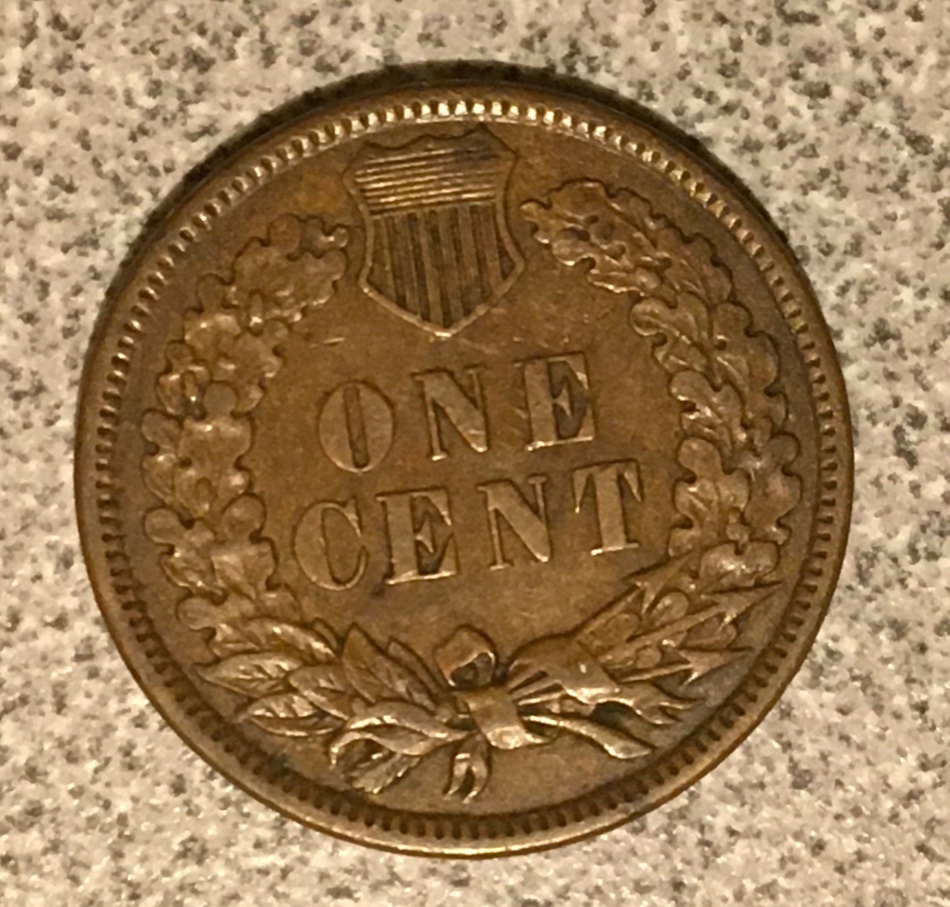 Please-Grade-This-1880-Indian-Head-Cent