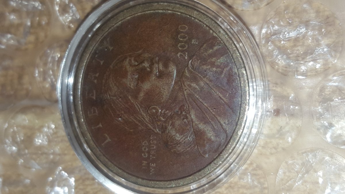 Brown-2000-P-Saca-1$-Coin.-Experimental-Rinse-Or-?