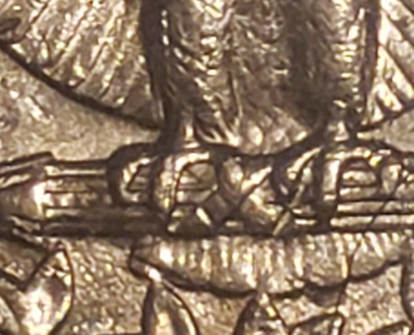 1995-P--Extra-Branch-Or-Twig-Between-His-Right-Foot-Claws