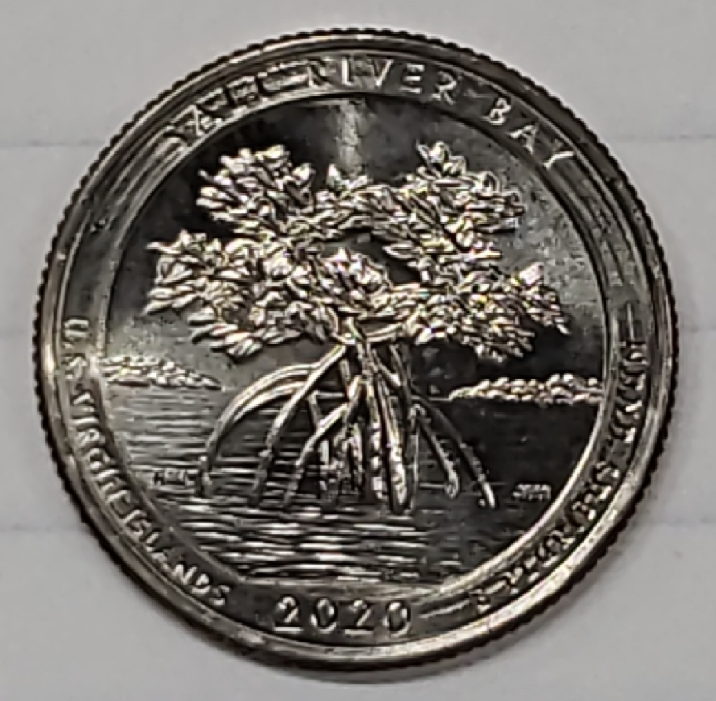 Die-Scrapes-On-2020-P-Salt-River-Bay-Quarter!