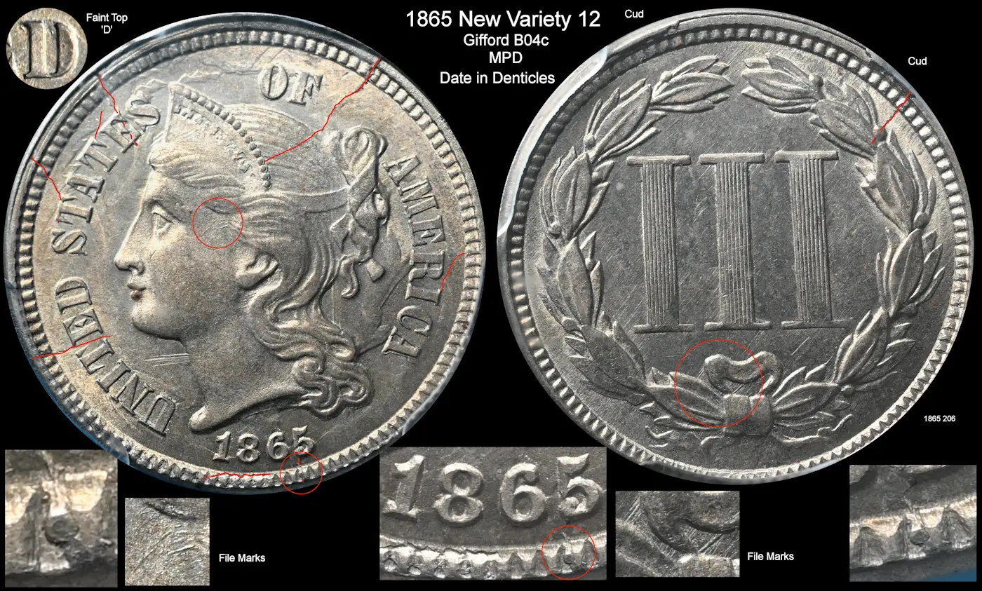 1865-3CN-'Date-In-Denticles'-Or-Cud-In-Crack?