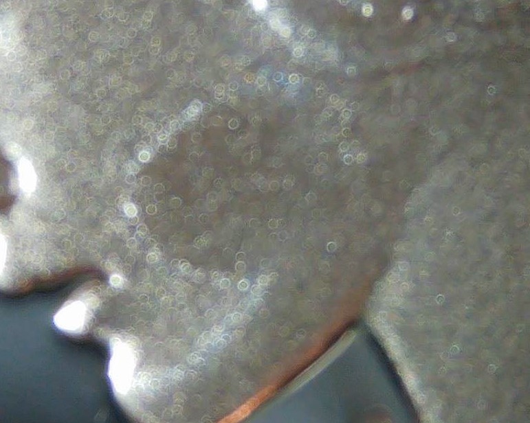 Always-Immediately-Check-Your-US-Mint-Coins-When-You-Get-Them.