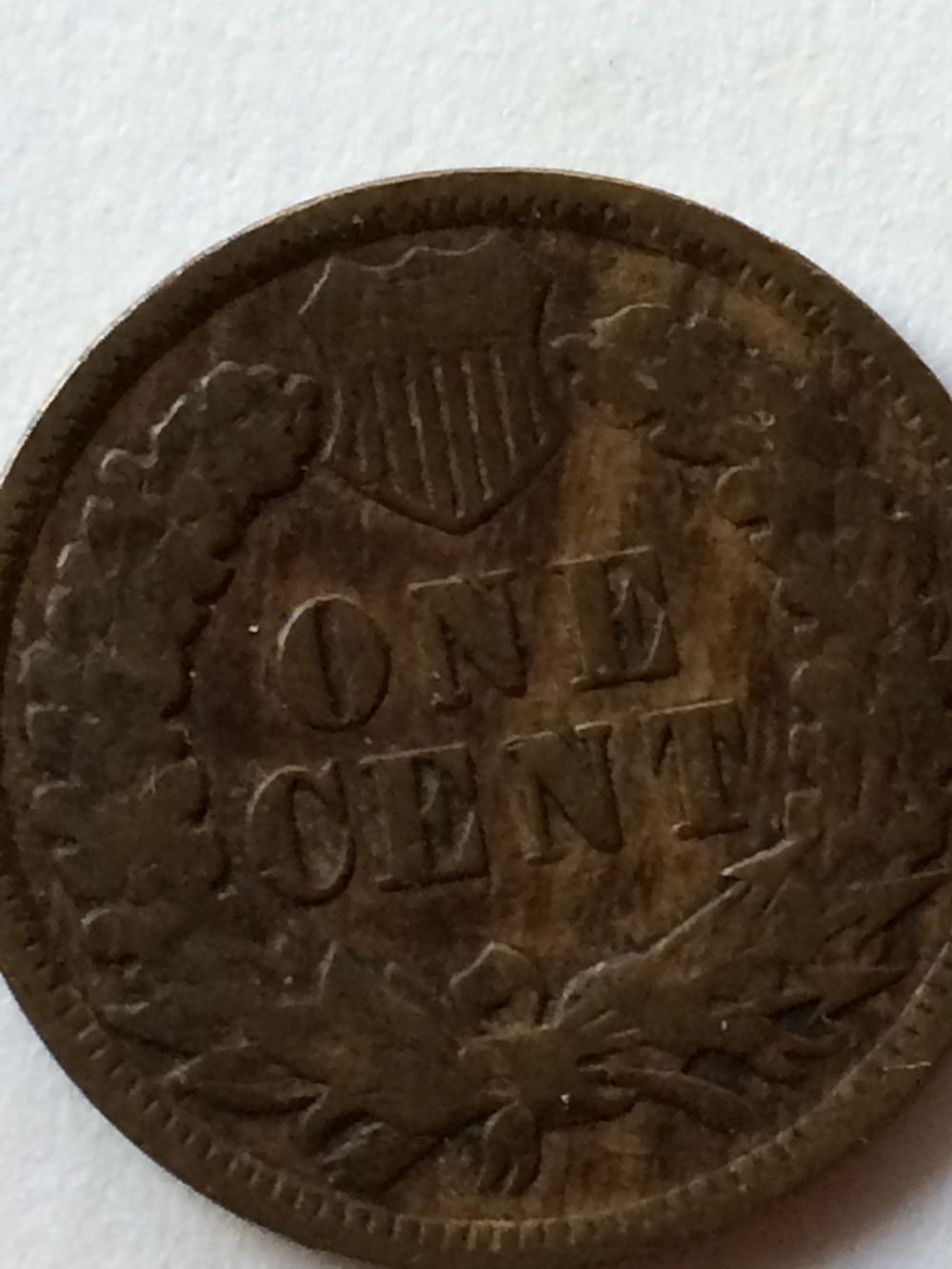 1898-IHC-For-Grading