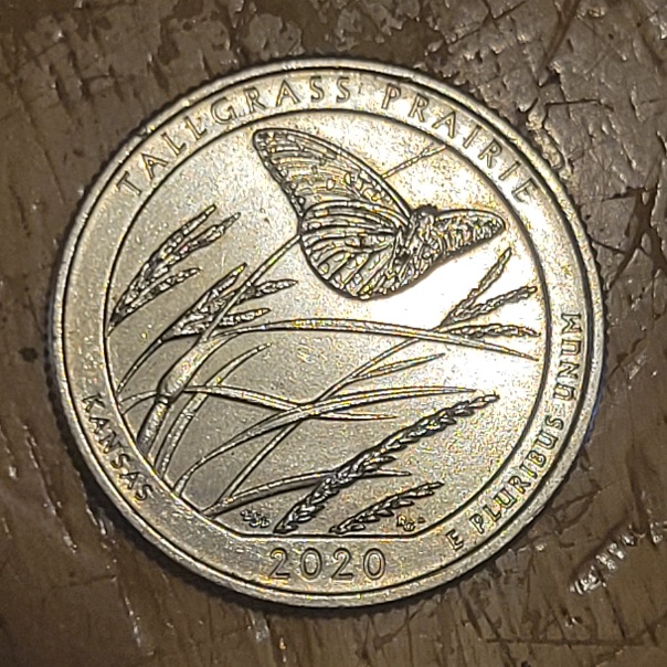 2020-W-Quarter-V75-DDO